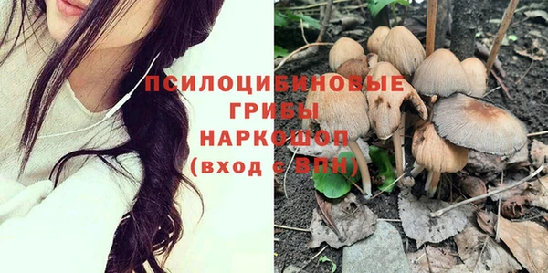 соль курить ск Алзамай