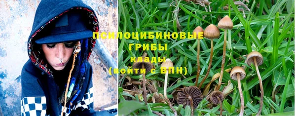 марки lsd Абинск