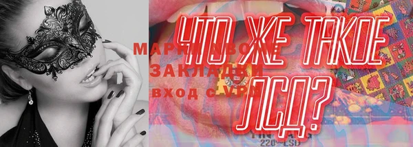 дмт Новозыбков