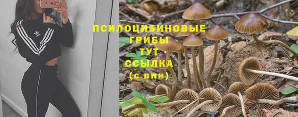 СК Алексин