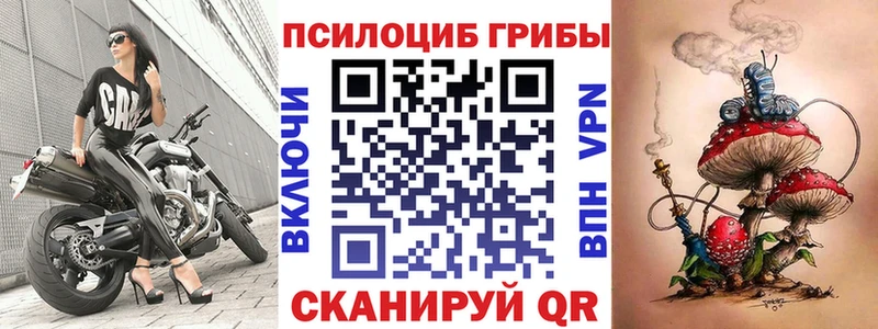 Псилоцибиновые грибы мицелий  Отрадное 